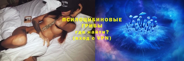 винт Алексин