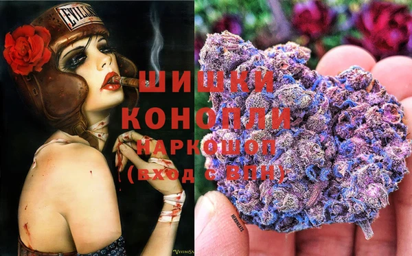 прущая мука Алзамай