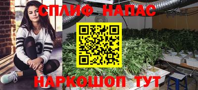 стафф Малоярославец