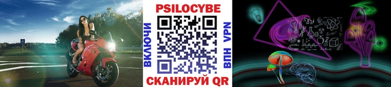 дарнет шоп  Шатура  Галлюциногенные грибы GOLDEN TEACHER 