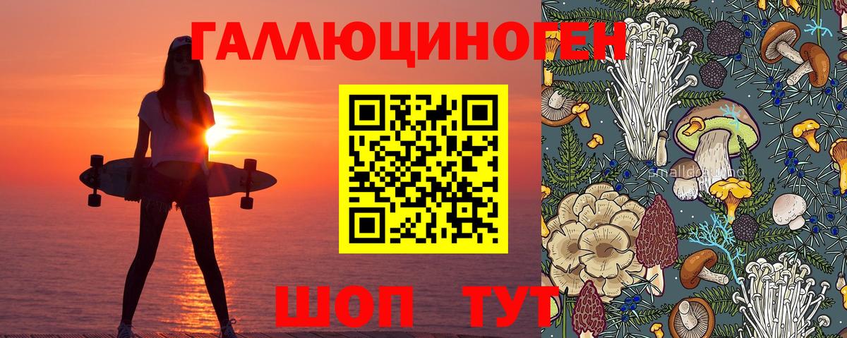 Галлюциногенные грибы мицелий Шатура