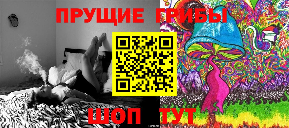 Галлюциногенные грибы GOLDEN TEACHER  Вход с VPN  Шатура  где можно купить   Галлюциногенные грибы Magic Shrooms 