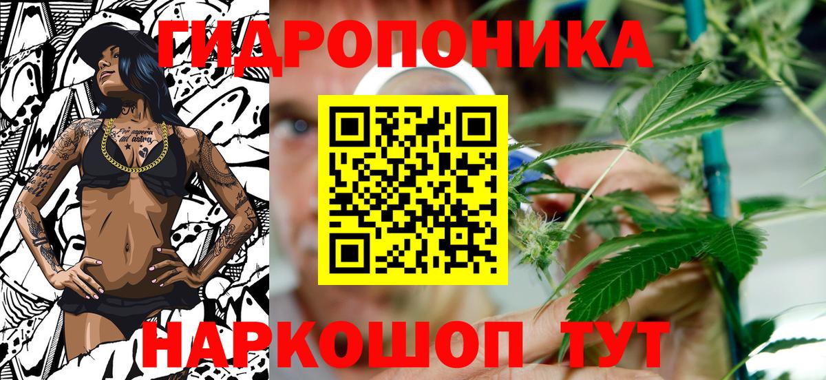 Бошки марихуана семена  Шишки марихуана AK-47  Шатура  Бошки марихуана планчик  Вход с VPN 